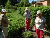 Земляцька толока у Пирогові (P5121246.JPG)