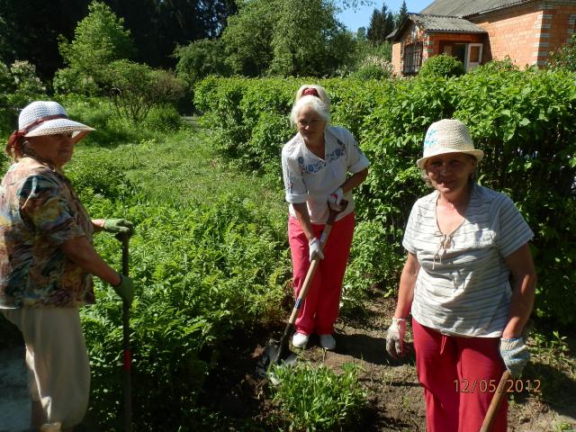 Земляцька толока у Пирогові (P5121246.JPG)