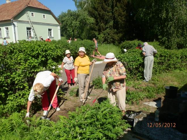 Земляцька толока у Пирогові (P5121248.JPG)