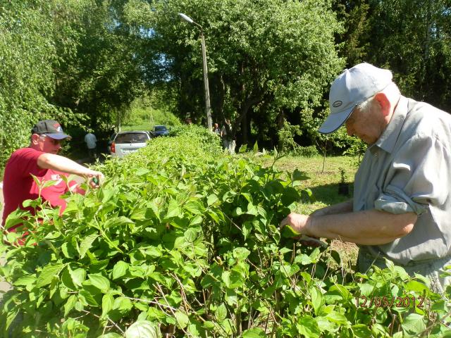 Земляцька толока у Пирогові (P5121250.JPG)