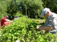 Земляцька толока у Пирогові (P5121250.JPG)