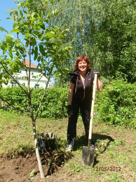 Земляцька толока у Пирогові (P5121255.JPG)