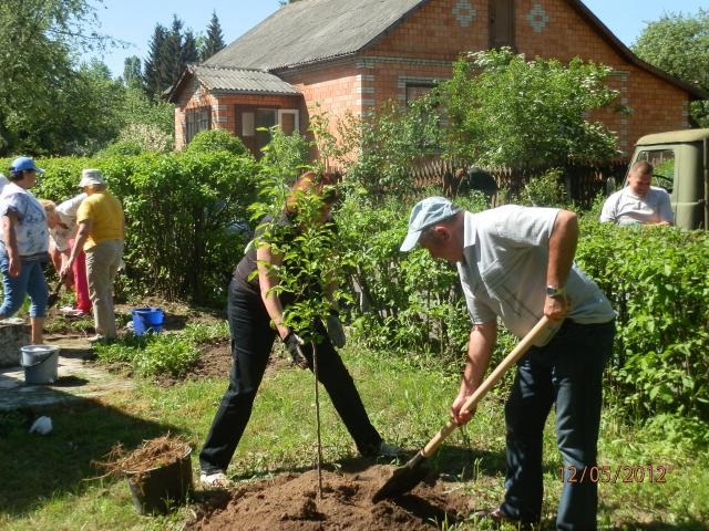 Земляцька толока у Пирогові (P5121265.JPG)