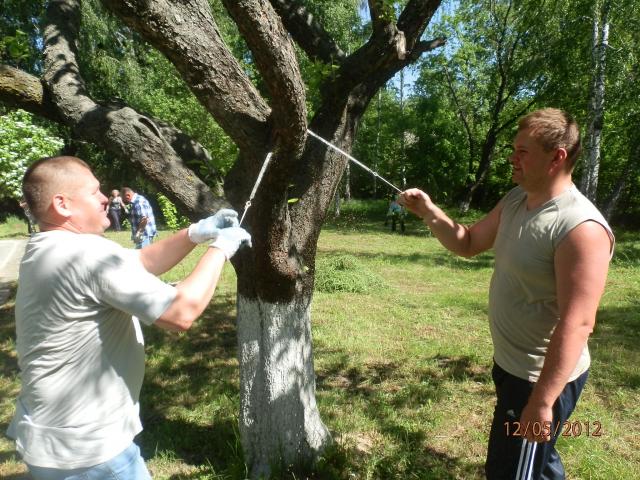 Земляцька толока у Пирогові (P5121271.JPG)