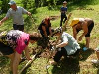 Земляцька толока у Пирогові (P5121286.JPG)