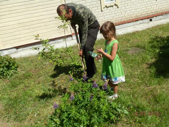 Земляцька толока у Пирогові (P5121305.JPG)